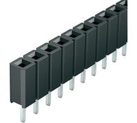 Fischer Bl LP 1 36 Z Profilo Basso Forcella Continentale Femminile Piastra 1x36