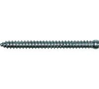 Fischer FFSZ Vite per Serramenti e Telai Finestre, Testa Cilindrica, Impronta Torx 7,5 x 182 T30 (100 Pz.)