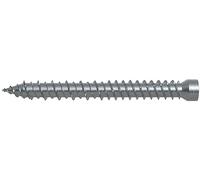 Fischer FFSZ Vite per Serramenti e Telai Finestre, Testa Cilindrica, Impronta Torx 7,5x202 T30 (100 Pz.)