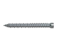 Fischer FFSZ Vite per Serramenti e Telai Finestre, Testa Cilindrica, Impronta Torx 7,5x62 T30 (100 Pz.)