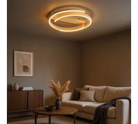 Fischer & Honsel Circly lampada a soffitto, LED, 21568, Circly [Lampade per Interni > Lampade a Soffitto]