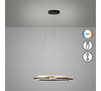 Fischer & Honsel Circly lampada a sospensione, LED, 61123, Circly [Lampade per Interni > Lampade a Sospensione]