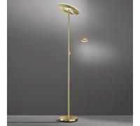 FISCHER & HONSEL Piantana LED Dent, color ottone, 180 cm, CCT, a 2 luci FISCHER & HONSEL