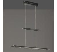 Fischer & Honsel Tenso lampada a sospensione LED con CCT, 60442, Function; Tenso [Lampade per Interni > Lampade a Sospensione]