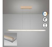 Fischer & Honsel Torvi lampada a sospensione, LED, 1 luce, 61187, Torvi [Lampade per Interni > Lampade a Sospensione]