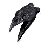 Fischietto di morte azteco - Fischietto per morte piccolo | Vera pipa per la morte azteca urlante | Crow's Beak Death Whistle Loud Ornament | Fischietto da guerra con suono strano, autentico aztche