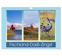Fischland-Darß-Zingst (Wandkalender 2026 DIN A4 quer), CALVENDO Monatskalender: Impressionen einer Halbinsel