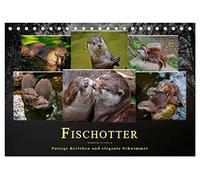 Fischotter - putzige Kerlchen und elegante Schwimmer (Tischkalender 2026 DIN A5 quer), CALVENDO Monatskalender: Der Fischotter ist zwar ein ... das possierliche Tier einfach nur knuddeln.