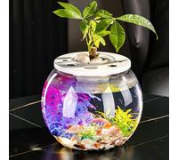 Fish Bowl Desk Acquario creativo per la sala da pranzo del ristorante della