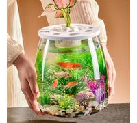 Fish Bowl Desk Acquario creativo per la sala da pranzo del ristorante della