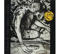 Fish - Songs From The Mirror [Vinyl LP] [Schallplatte]