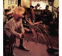 FISHBONE - REALITY OF MY.. (2 LP)