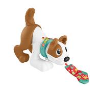 Fisher Price 123 Crawl With Me Puppy Multicolor 6 Months Bambini