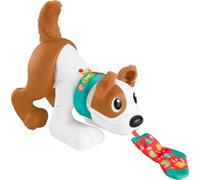 Fisher-Price -123 Crawl with Me Puppy, Multicolore (Mattel HGX99)