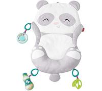 Fisher Price - All-In-One Panda Playmat