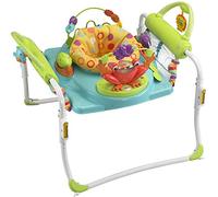 Fisher Price Baby Gear BFB22 - Primi Passi Centro attività
