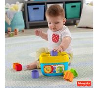 Fisher-Price - Blocchi Assortiti FFC84