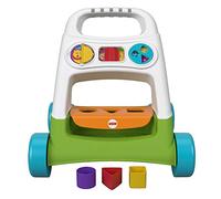 Fisher-Price Centro attività Spingibile, con Cercaforme per Sviluppare Le capacità Motorie, Giocattolo per Bambini 9+ Mesi, FYK65