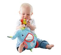 Fisher-Price Elefantino Baby Attività, con Superfici da Esplorare, Sonaglini e Gancio per Passeggino, Giocattolo per Neonati 0 + Anni, FDC58