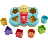 Fisher-Price Everything Baby CDC22 giocattolo per lo sviluppo delle abilità motorie