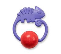Fisher Price FGJ55 Chamöleon