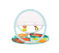 Fisher Price Fold &Go Palestrina Prime AttivitÃ