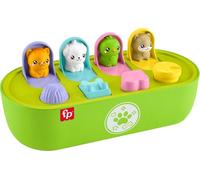 Fisher-Price Giocattoli per bambini FP Pets pop-up motore con attività e suoni per giochi di sviluppo bambini dai 9 mesi in su