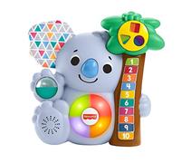 Fisher-Price-GRG70 Giocattolo, Multicolore, GRG70 - NUOVO