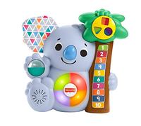 Fisher-Price GRG70 Toy, Multicoloured Netherlands Multicolor