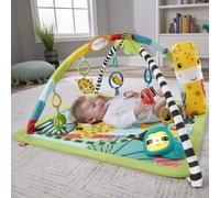 Fisher-Price HJW08 palestra per bambino e tappeto di gioco Multicolore Tappetino da gioco per bambino