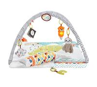Fisher-Price® Palestrina 5 sensi - 1 pz.