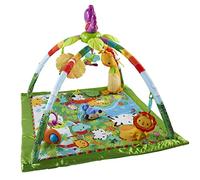 Fisher-Price Palestrina Neonato del Tucano, Palestrina con Luci, Musica e Personaggi, Ripiegabile, Tappetino Lavabile in Lavatrice, Regalo Bambini 0+ Mesi, Esclusivo Amazon, GXC35