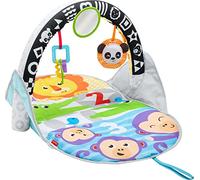 Fisher-Price Palestrina Pieghevole degli Animali con Arco in Bianco e Nero per Stimolare la Vista, con Soffice Tappetino e Giochi per Neonati, Multicolore, FXC14