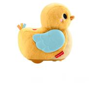 Fisher-Price Paperella Coccola e Gattona 4 in 1