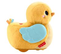 Fisher Price Paperella Coccola e Gattona 4In1 JMX99