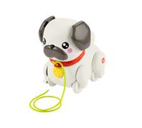 Fisher Price - Carlino Cammina Con Me HTW94