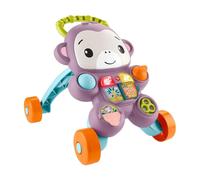 SCIMMIETTA PRIMI PASSI FISHER PRICE