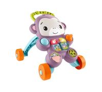 SCIMMIETTA PRIMI PASSI FISHER PRICE