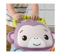 SCIMMIETTA PRIMI PASSI FISHER PRICE