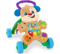 Fisher-Price- SS Puppy Walker-Ge-Qe, HBW51