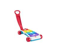 Fisher-Price - Xilofono Gigante, giocattolo elettronico musicale trainabile con canzoni educative, regalo per bambini 9-36 Mesi, Versione Inglese+Italiano+Portoghese+Spagnolo, HJK38