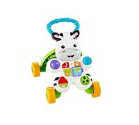 Fisher-Price DLD87 girello per bambino Multicolore