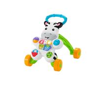 Fisher-Price DLD87 girello per bambino Multicolore