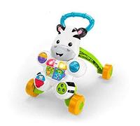 Fisher-Price DLD87 girello per bambino Multicolore