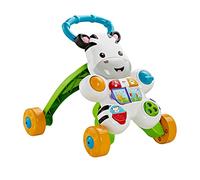 Fisher-Price Zebra Primi Passi Spingibile, Giocattolo Elettronico Educativo con Musica e Suoni, per Camminare, per Bambini di 6+ Mesi, Edizione: Olandese, DLD82