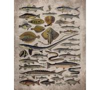 Fishing 2025 Teacher Planner Weekly and Monthly: Minimalist Lesson Record, Calendar Organizers, goal, to do list