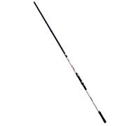Fishing Ferrari Canna da Pesca FF Link Beach Ledgering per Il Beach Ledgering Ottima Potenza di Lancio in Carboneo