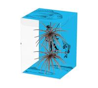 Fishing Lures, 2 pezzi realistici di mare, per la alla trota, per acqua e salata, fiume, riva, uomini, pescatori, principianti, per trote, crappie pesce gatto, salmone, per