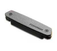 Fishman Neo-D SingleCoil