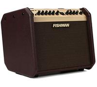 Fishman PRO-LBT-600 - Amplificatore per chitarra acustica Altoparlante Mini Bluetooth